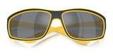 Polo PH4227U Sunglasses | Size 66