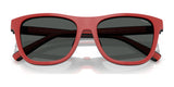Polo PH4228U Eyeglasses | Size 55