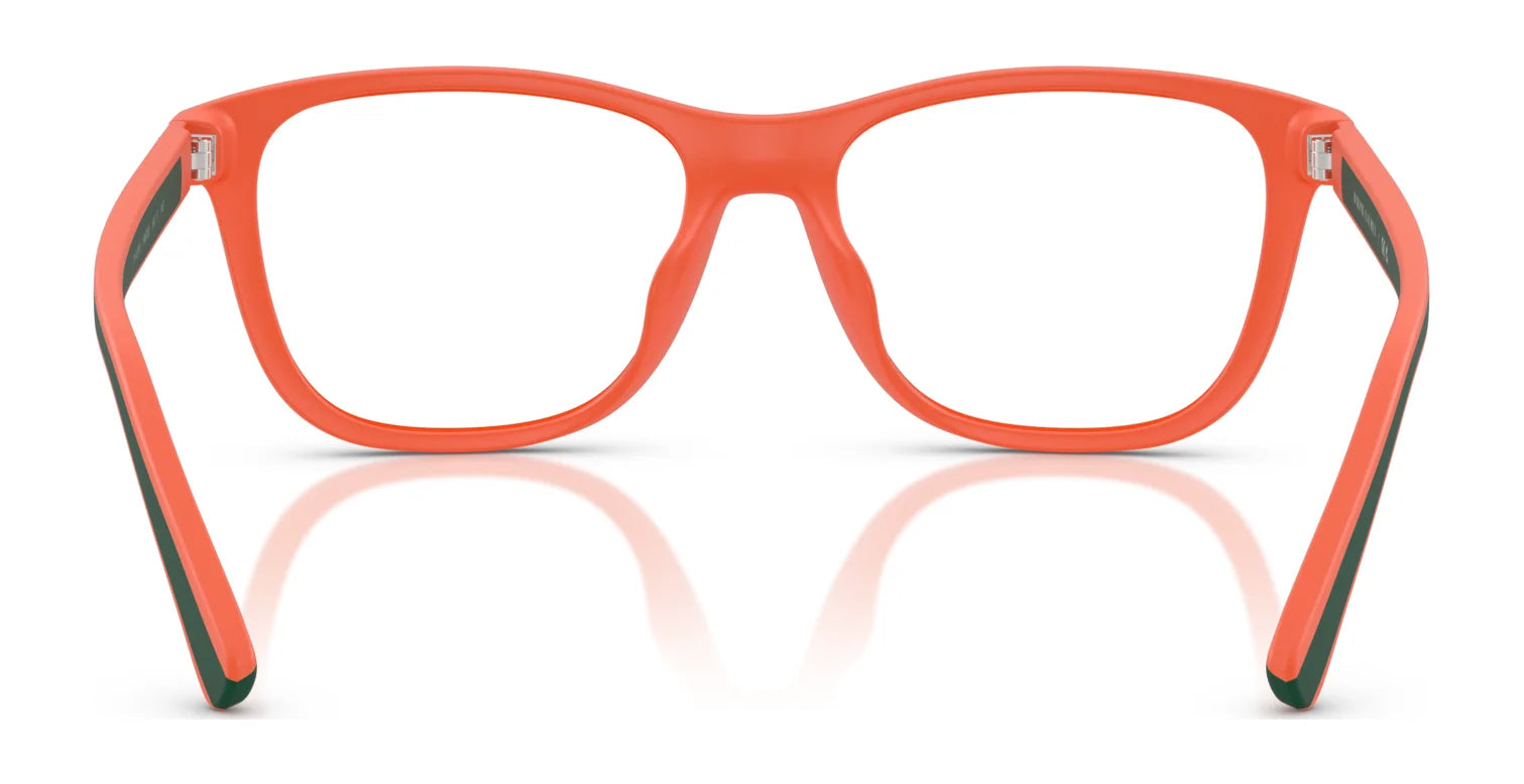 Polo PH4228U Eyeglasses | Size 55