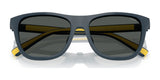 Polo PH4228U Eyeglasses | Size 55