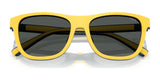 Polo PH4228U Eyeglasses | Size 55