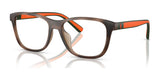 Polo PH4228U Eyeglasses | Size 55