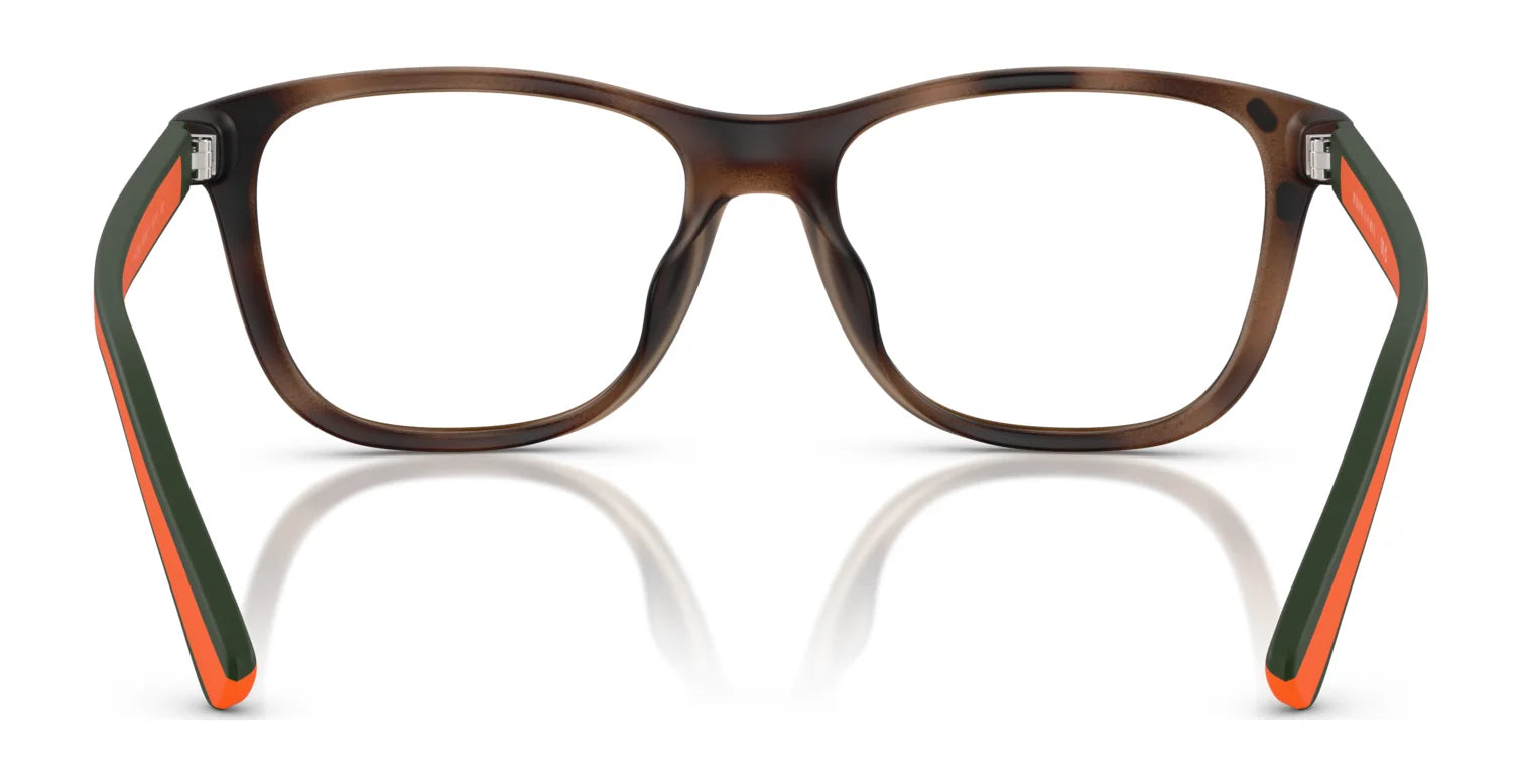 Polo PH4228U Eyeglasses | Size 55