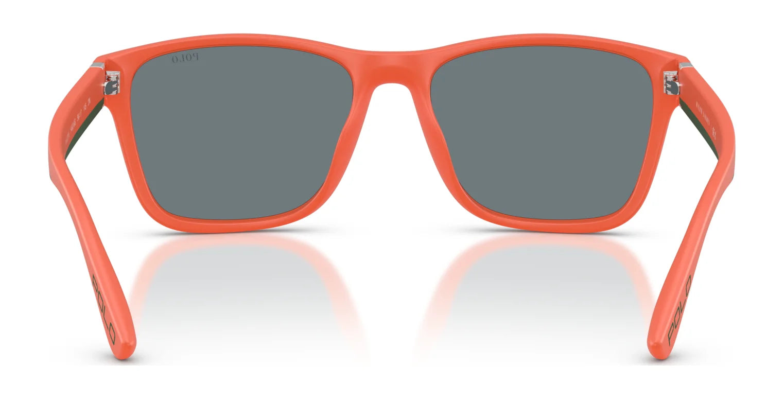 Polo PH4229U Sunglasses | Size 56