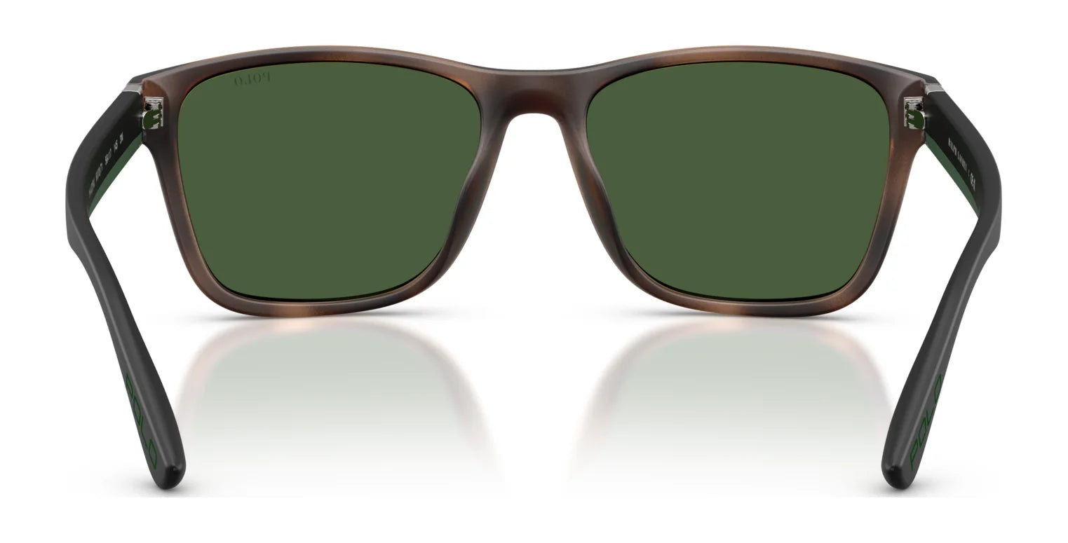 Polo PH4229U Sunglasses | Size 56