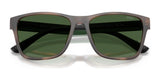 Polo PH4229U Sunglasses | Size 56