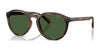 Polo PH4232U Sunglasses | Size 53 / Matte Dark Havana / Bottle Green (3N 9.7%) №597471