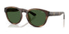 Polo PH4233U Sunglasses | Size 51 / Shiny Dark Havana / Bottle Green (3N 9.7%) №607071