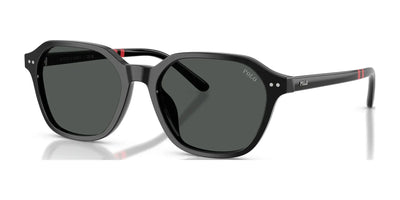 Polo PH4234U Sunglasses Shiny Black / Dark Grey
