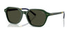 Polo PH4234U Sunglasses | Size 54 / Shiny Green / Brown (3N 10.5%) №614082
