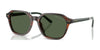 Polo PH4234U Sunglasses | Size 54 / Shiny Havana / Green (Polarized) (3P 10.7%) №63159A