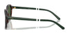 Polo PH4234U Sunglasses | Size 54 / Shiny Black / Dark Grey (3N 12.4%) №500187