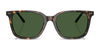 Polo PH4235U Sunglasses | Size 54 / Shiny Black / Dark Grey (3N 12.4%) №500187