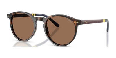 Polo PH4236 Sunglasses Shiny Dark Havana / Brown