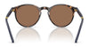 Polo PH4236 Sunglasses | Size 50 / Shiny Dark Havana / Brown (3N 13.3%) №500373