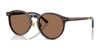 Polo PH4236F Sunglasses | Size 50 / Shiny Dark Havana / Brown (3N 13.3%) №500373