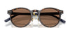 Polo PH4236F Sunglasses | Size 50 / Shiny Black / Dark Grey (3N 12.4%) №500187