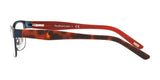 Polo PP8036 Eyeglasses