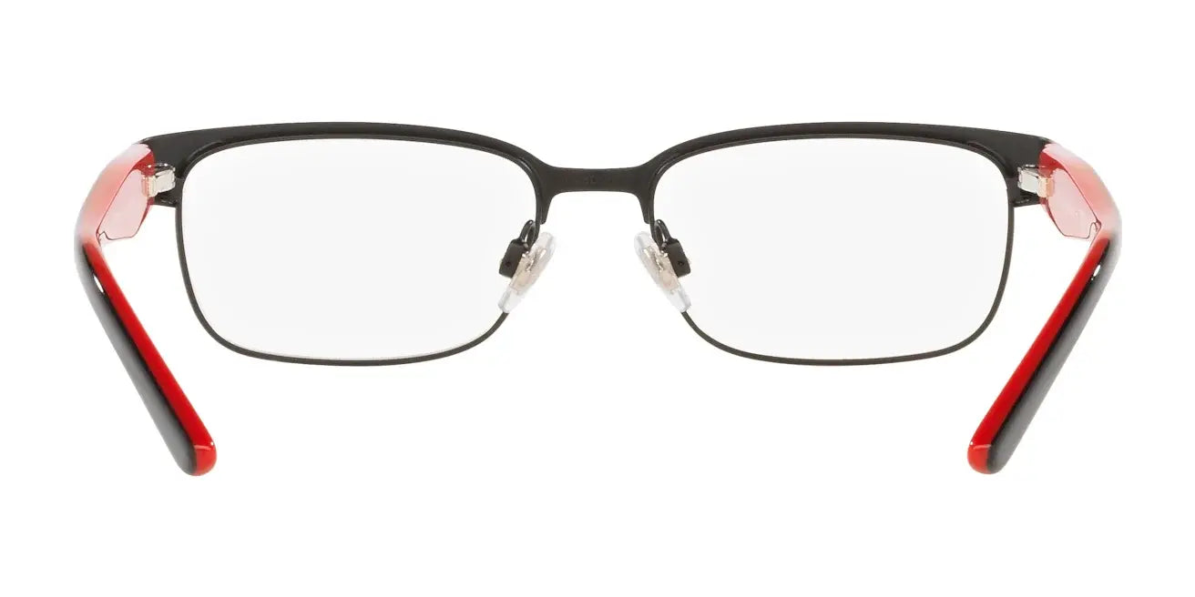 Polo PP8036 Eyeglasses