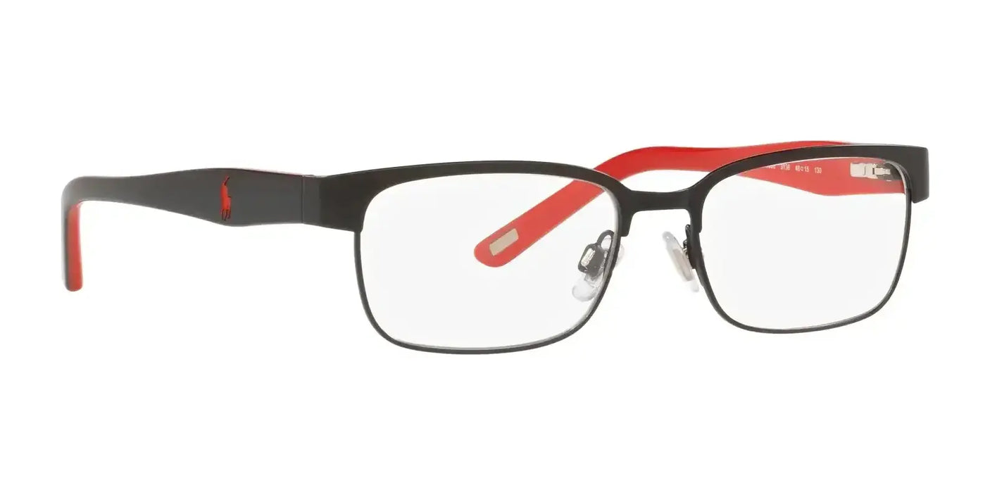 Polo PP8036 Eyeglasses