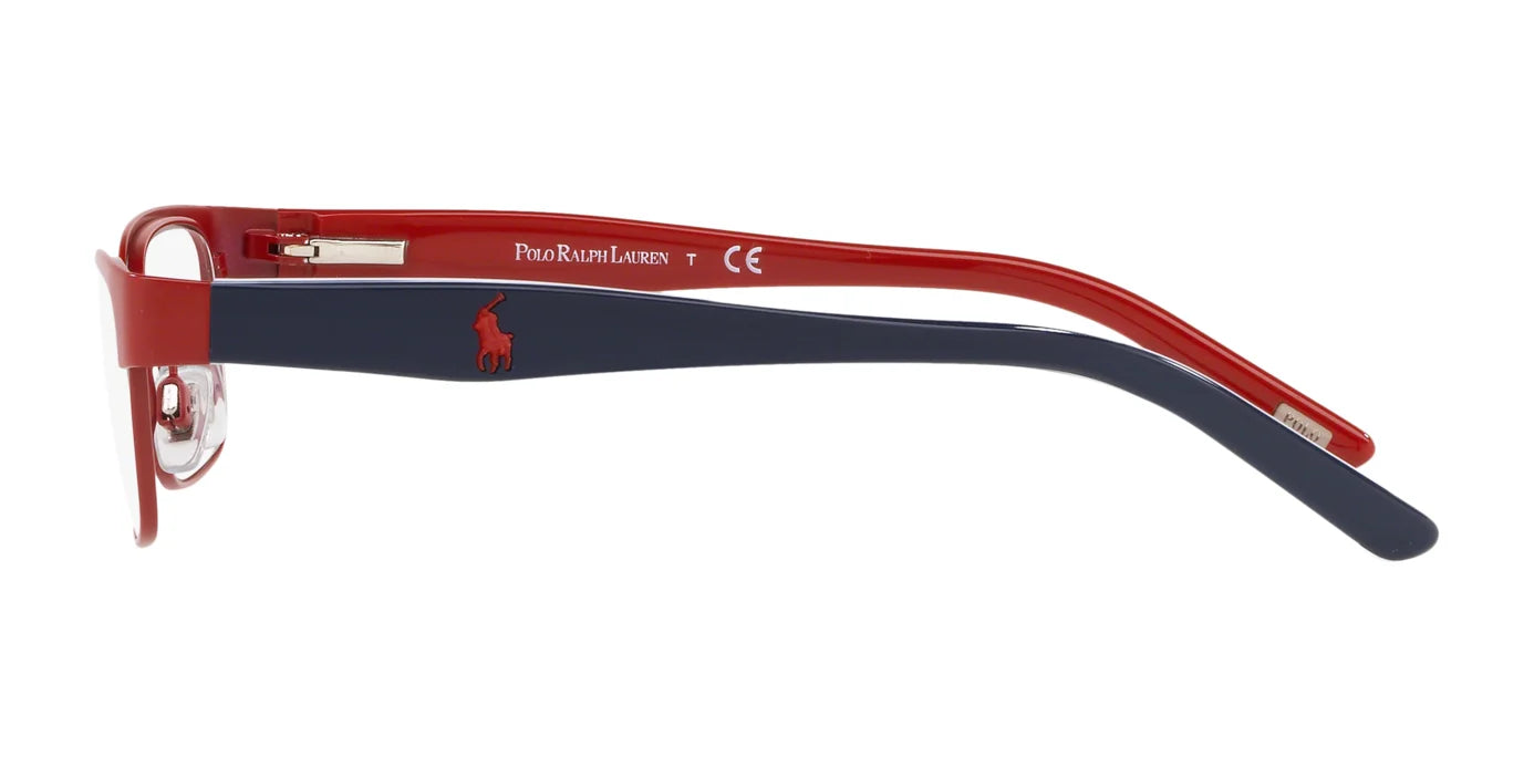 Polo PP8036 Eyeglasses | Size 46