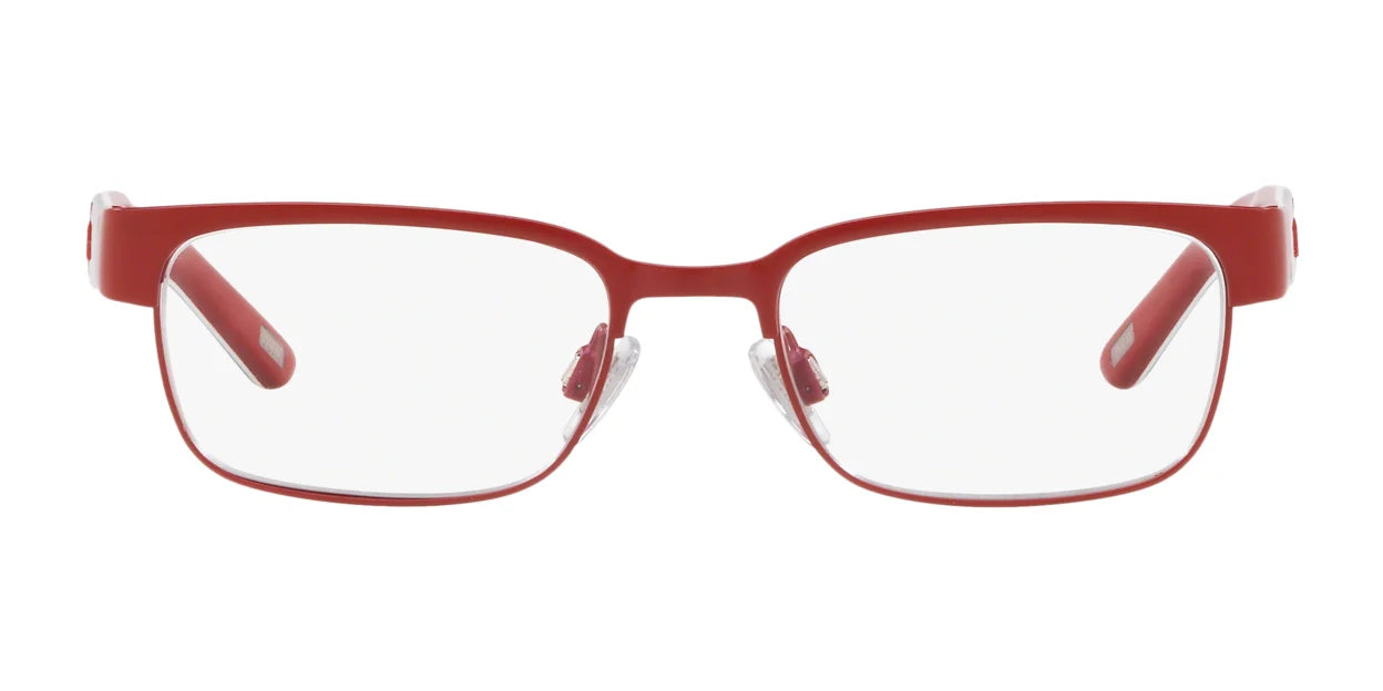 Polo PP8036 Eyeglasses | Size 46