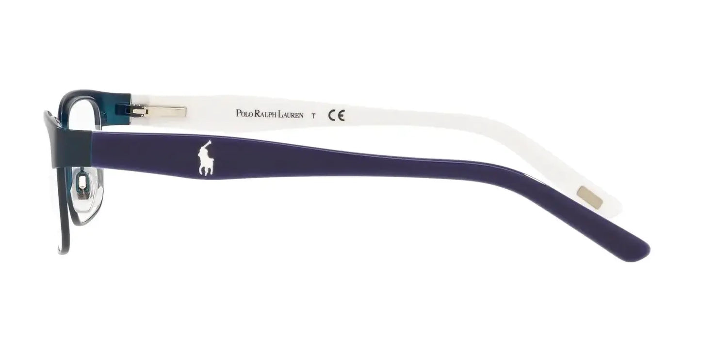 Polo PP8036 Eyeglasses | Size 46