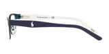 Polo PP8036 Eyeglasses