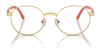 Polo PP8041 Eyeglasses | Size 48