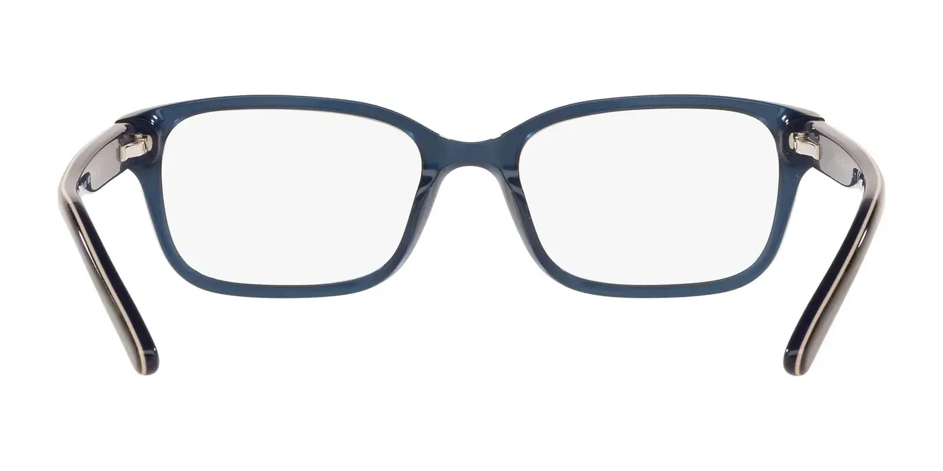 Polo PP8520 Eyeglasses | Size 46