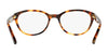 Polo PP8526 Eyeglasses | Size 47 / Shiny Purple Horn №1592