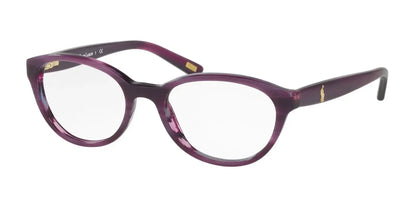 Polo PP8526 Eyeglasses Shiny Purple Horn