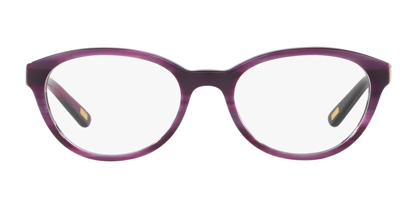 Polo PP8526 Eyeglasses | Size 47