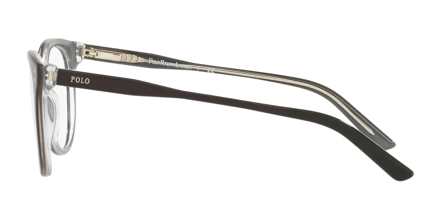 Polo PP8529 Eyeglasses