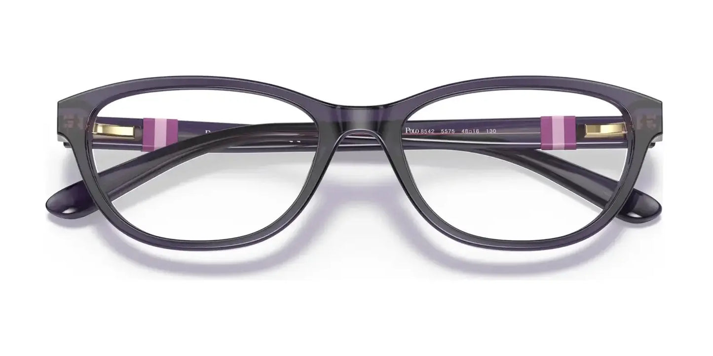 Polo PP8542 Eyeglasses | Size 48