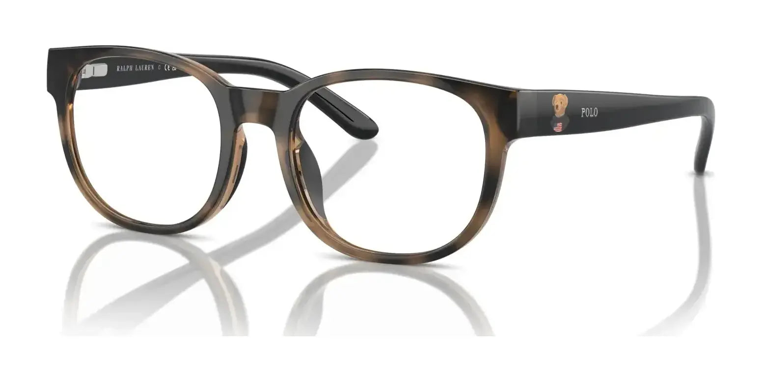 Polo PP8549U Eyeglasses Shiny Dark Havana