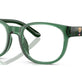 Shiny Transparent Green №6312