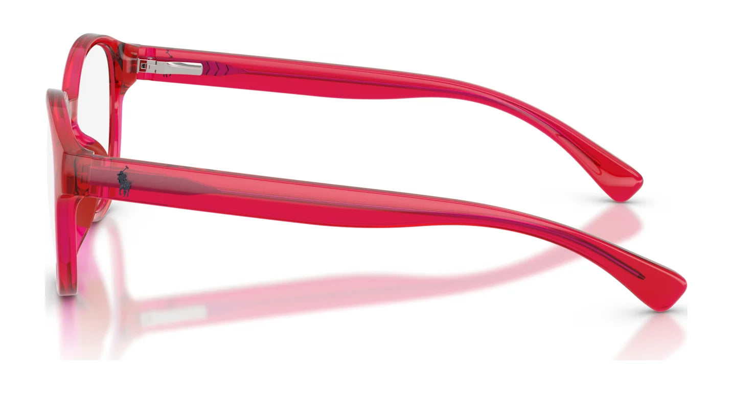 Polo PP8550U Eyeglasses