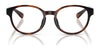 Polo PP8550U Eyeglasses / Shiny Caramel Havana №6249 / Size 45