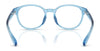Polo PP8550U Eyeglasses / Shiny Caramel Havana №6249 / Size 45