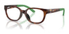 Polo PP8551U Eyeglasses / Shiny Caramel Havana №5003 / Size 45