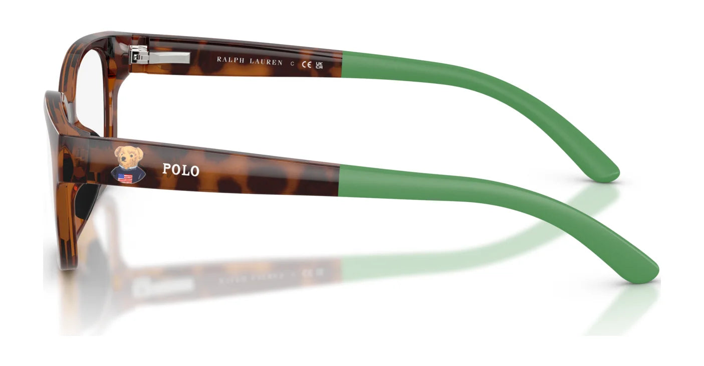 Polo PP8551U Eyeglasses