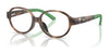 Polo PP8552U Eyeglasses / Shiny Dark Havana №5003 / Size 43