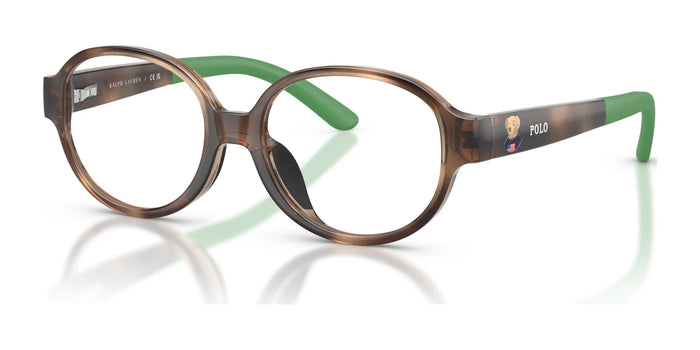 Polo PP8552U Eyeglasses / Shiny Dark Havana №5003 / Size 43