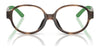Polo PP8552U Eyeglasses / Shiny Dark Havana №5003 / Size 43