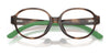 Polo PP8552U Eyeglasses / Shiny Dark Havana №5003 / Size 43