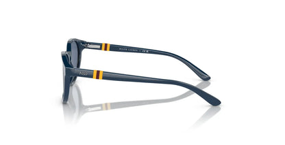 Polo PP9502 Sunglasses | Size 48