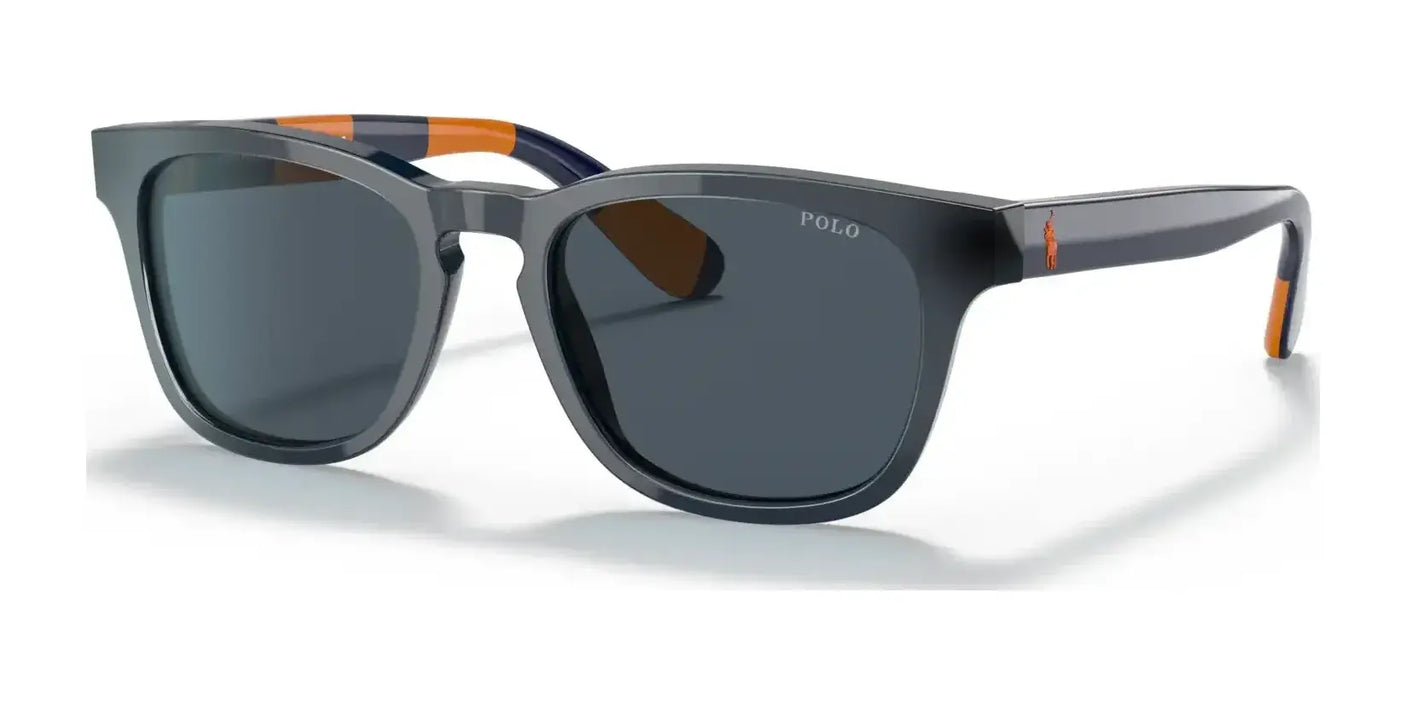 Polo PP9503 Sunglasses Shiny Top Blue Orange / Blue Striped / Grey / Blue