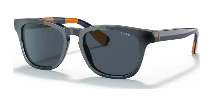 Polo PP9503 Sunglasses | Size 48 / Shiny Top Blue Orange / Blue Striped №590587 / Grey / Blue (3N 13%)