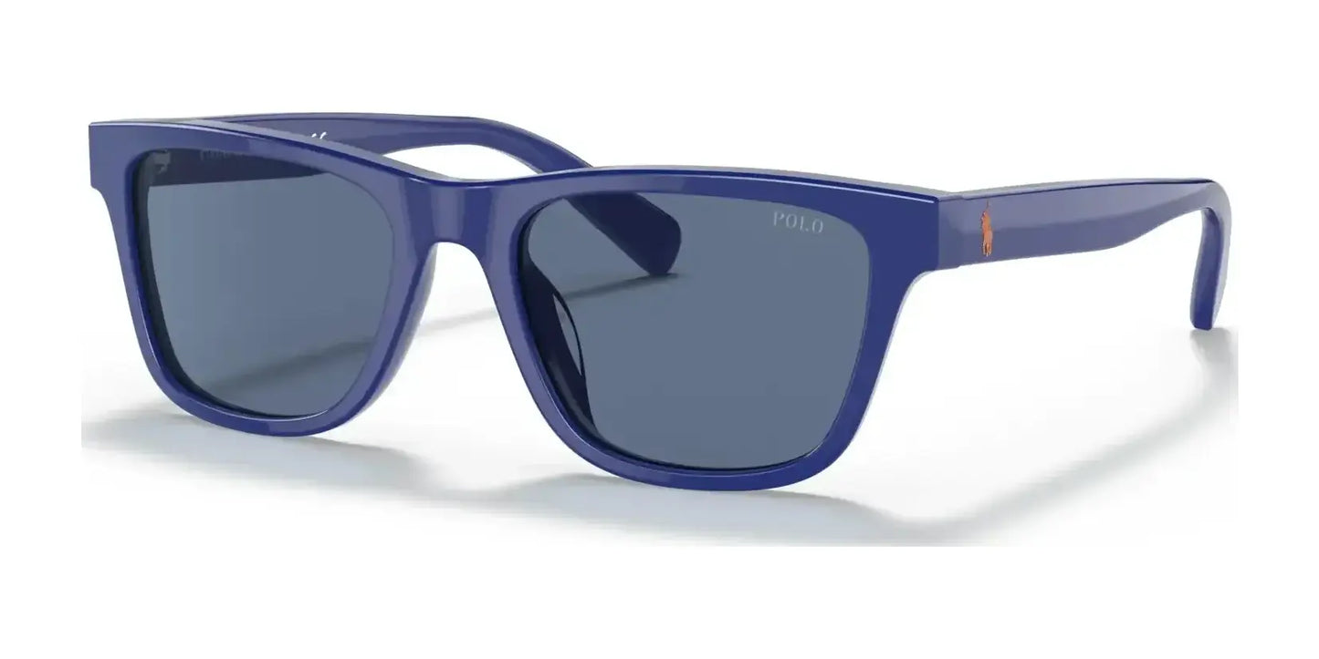 Polo PP9504U Sunglasses Shiny Royal Blue / Dark Blue